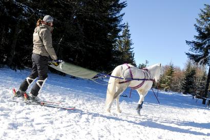 Ski-joering